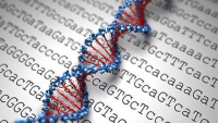 Curso de Biología Molecular y Citogenética con Prácticas